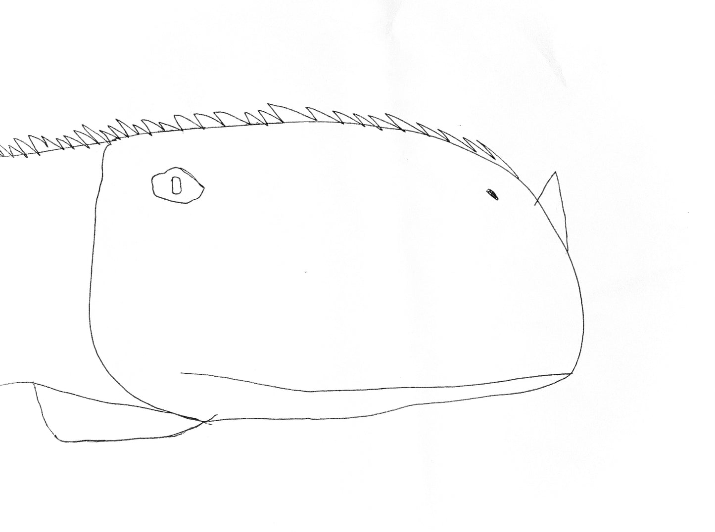 Original Dino Design 3